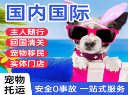 赤峰玉龙航空邮寄国际宠物托运 【国